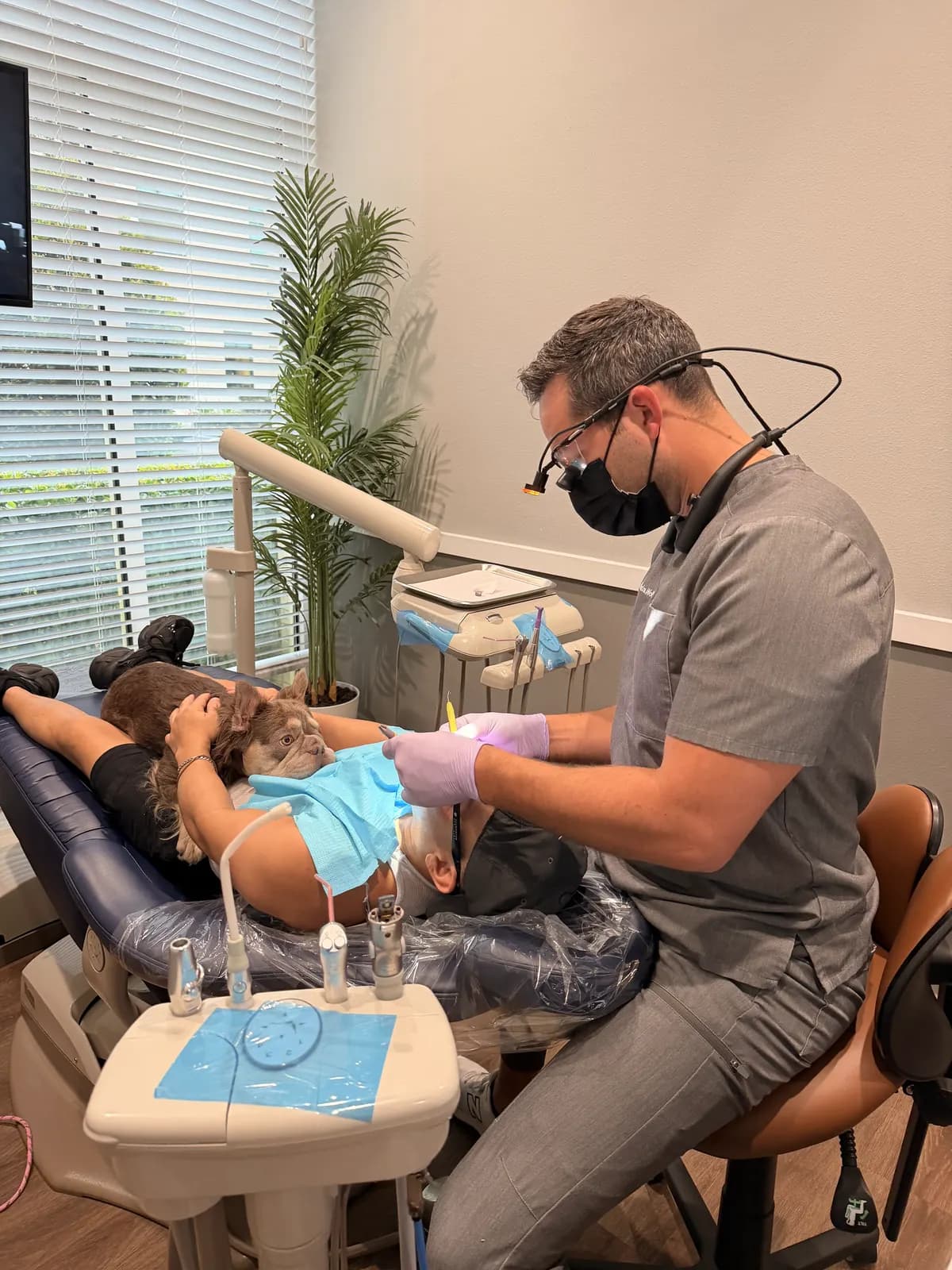 Dr. Brandon Wolf treating a relaxed patient who brought her French bulldog along to her appointment